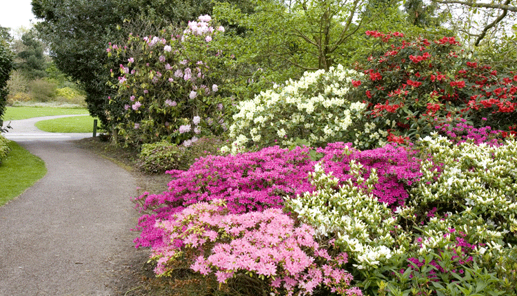 Borde Hill Gardens Map 